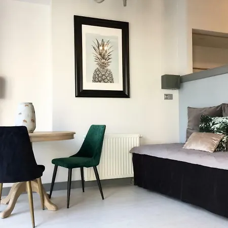 公寓 Old Town Patio 1 格但斯克